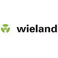 Wieland Logo